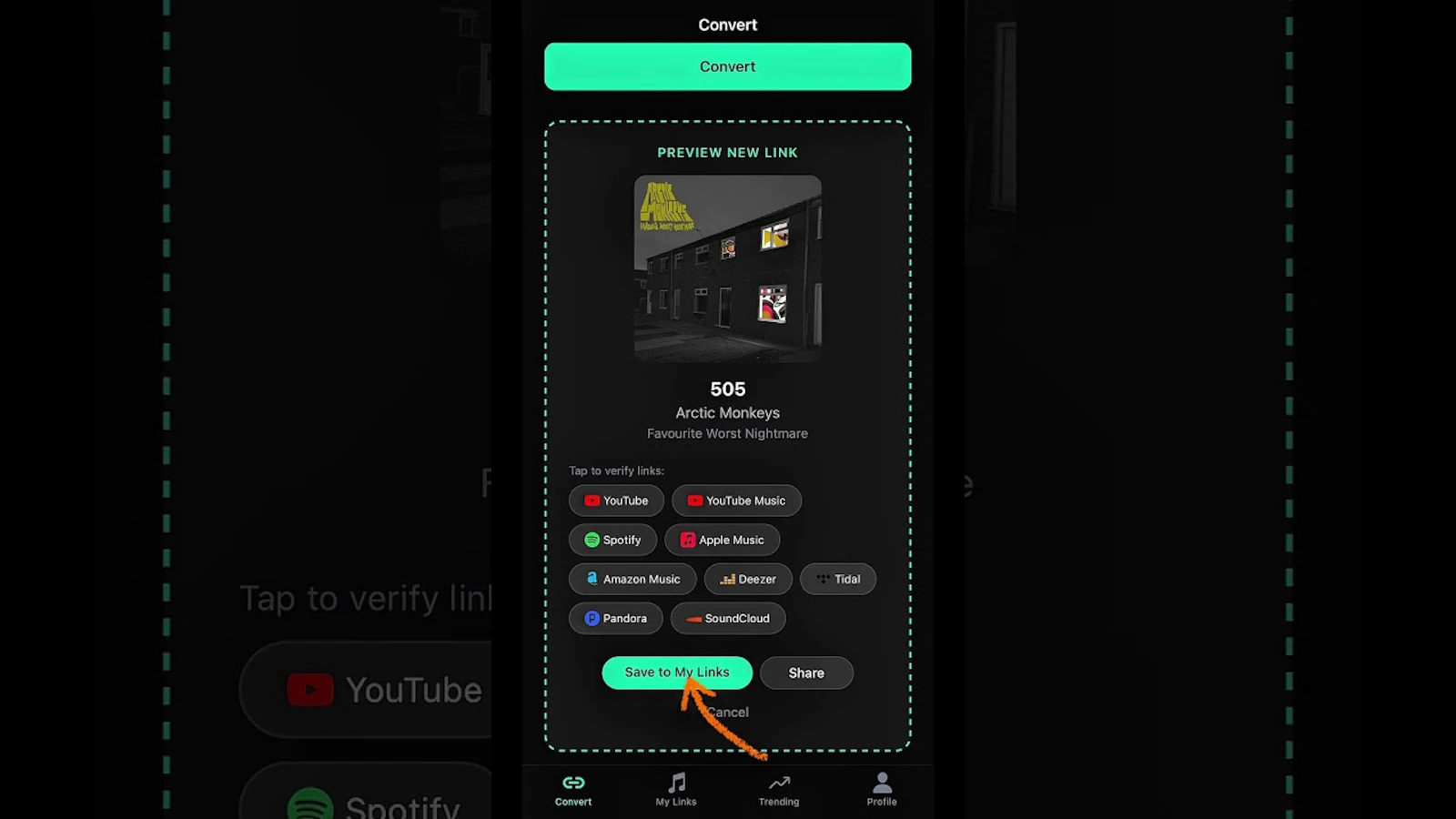 MTShare screenshot 1 (video preview)