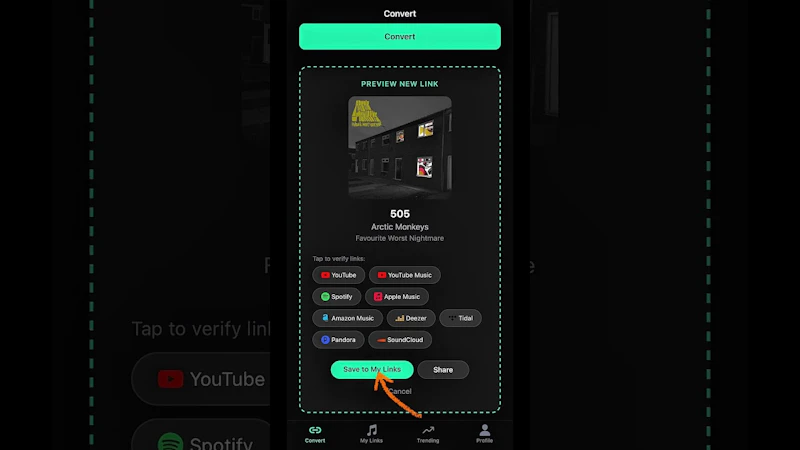 MTShare screenshot 1 (video preview)