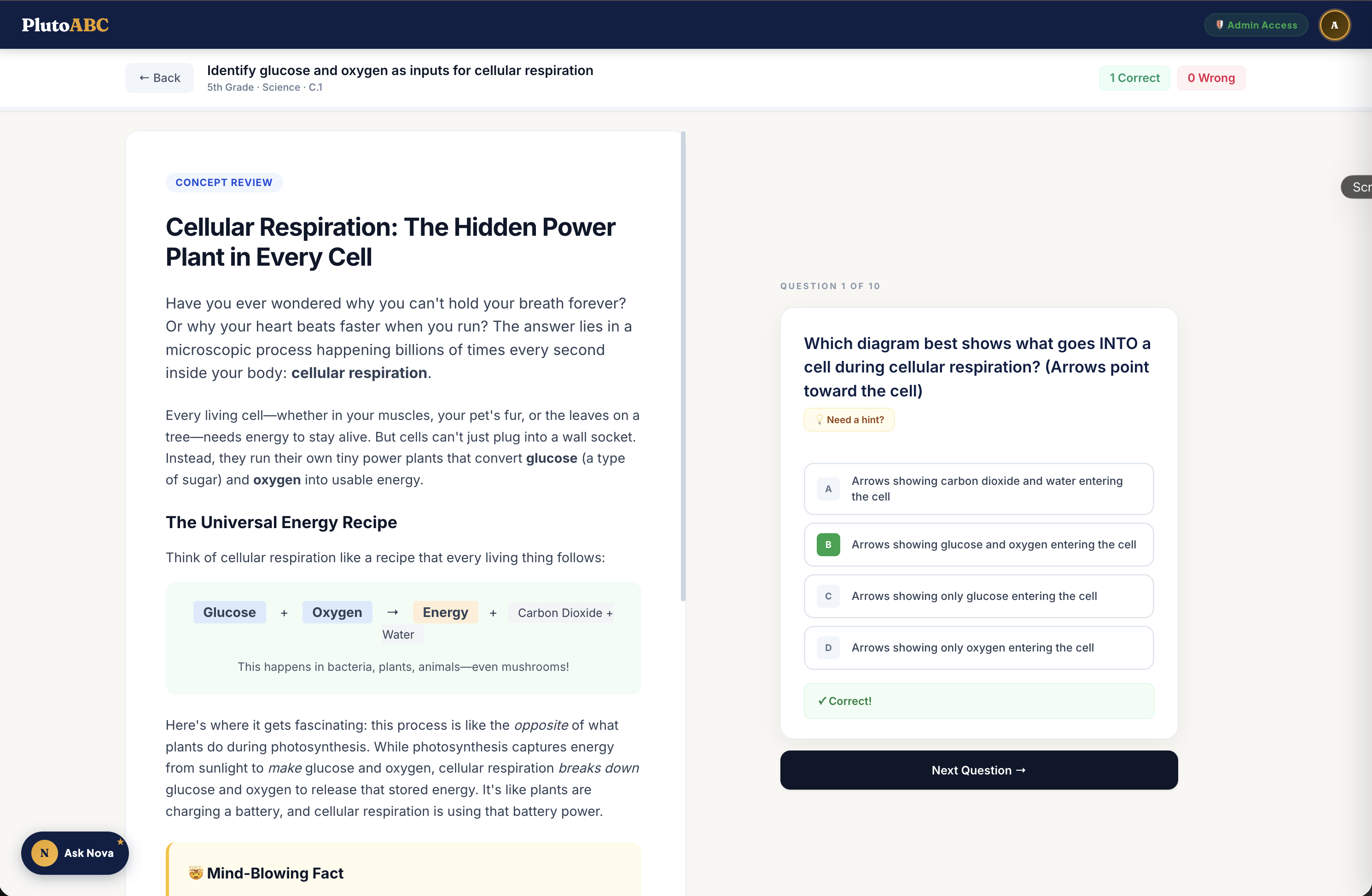 PlutoABC — Learning for Every Child gallery image