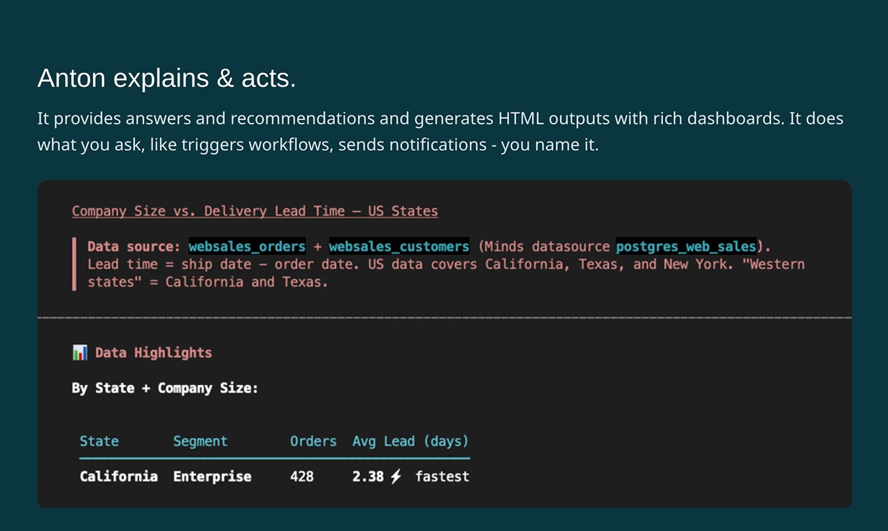 MindsDB Anton gallery image