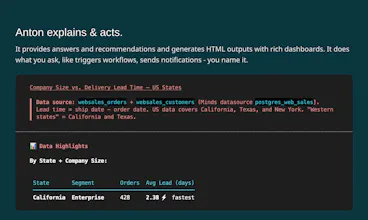 MindsDB Anton gallery image