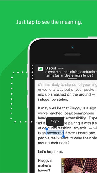 Biscuit gallery image