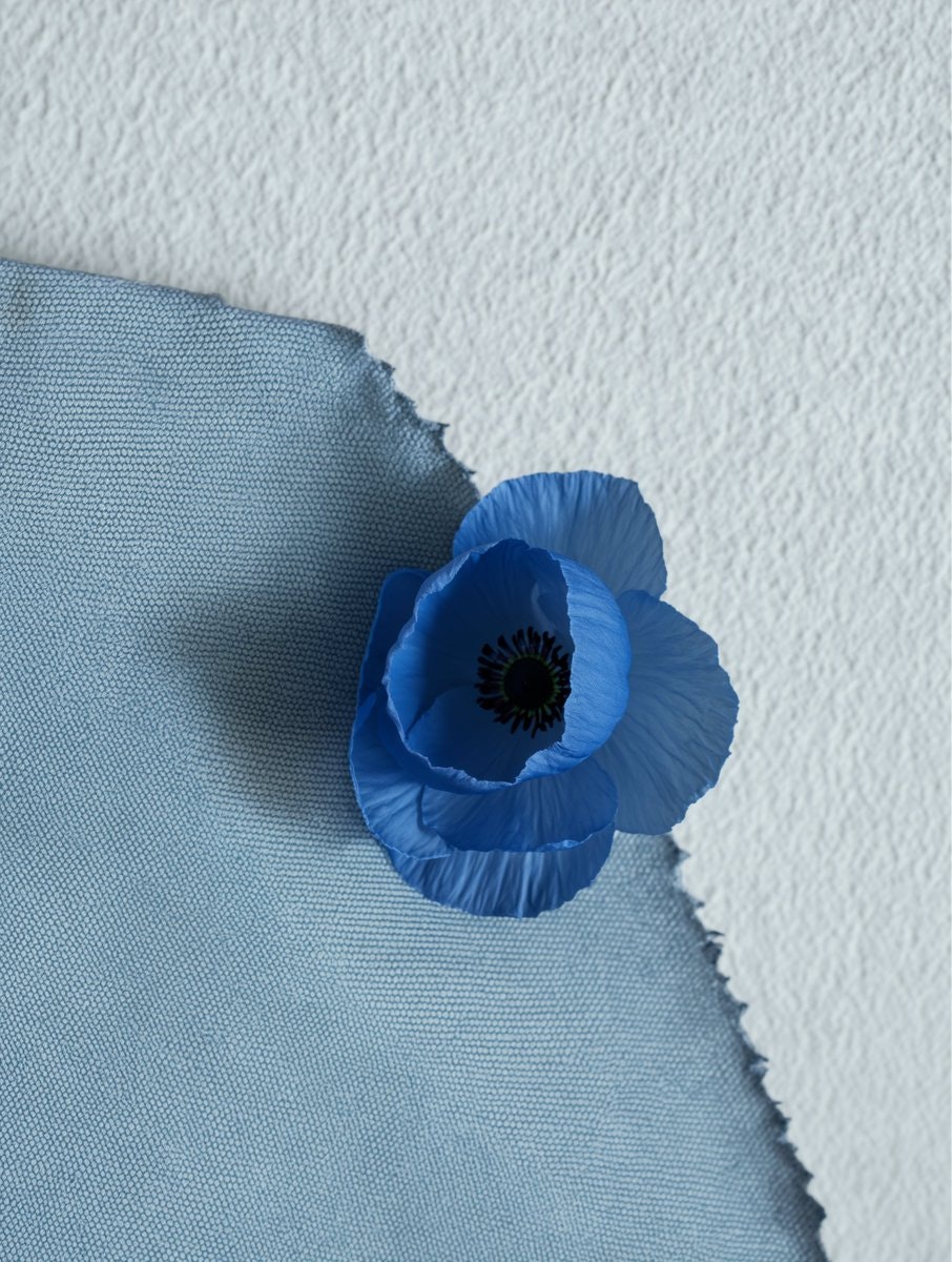 Wan 2.7-Image gallery image