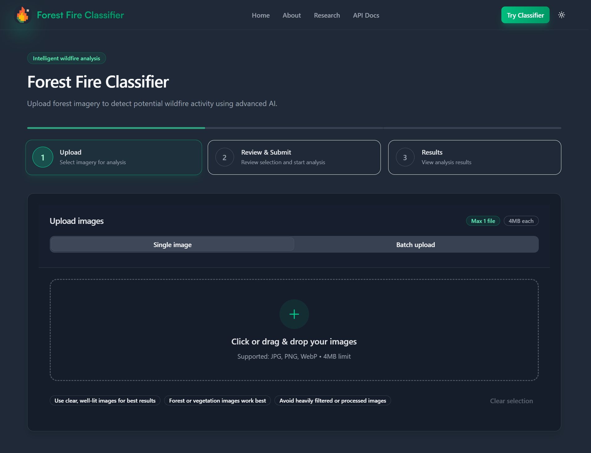 Forest Fire Classifier gallery image