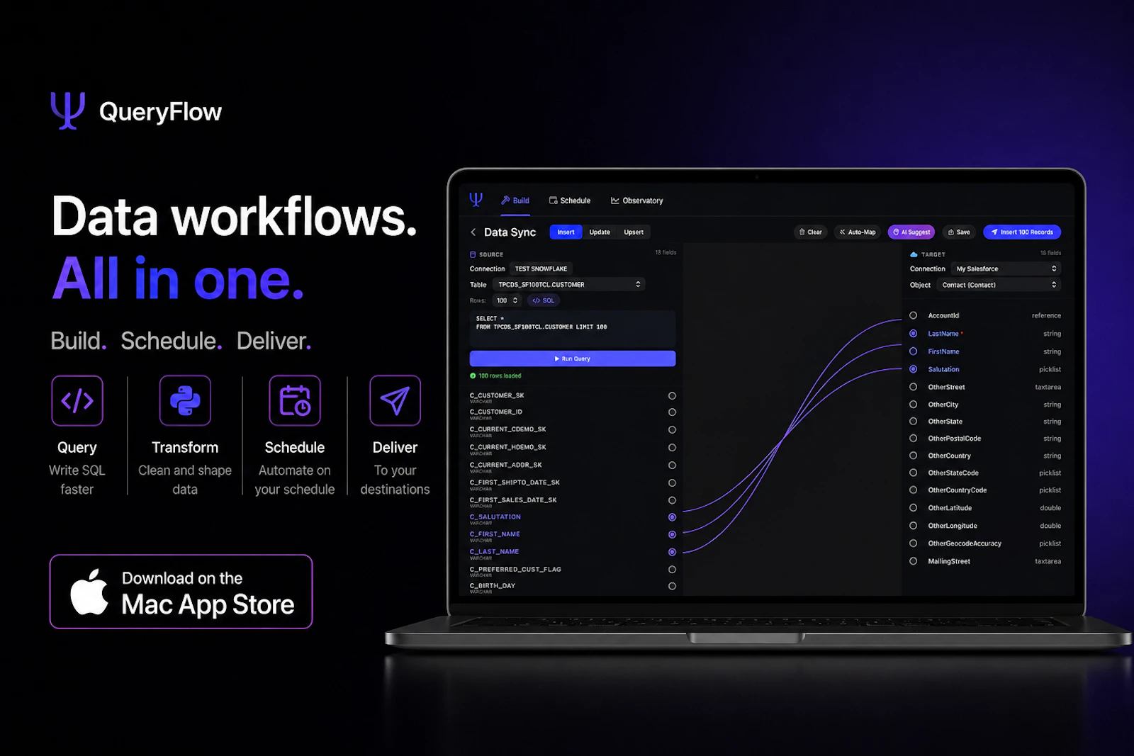 QueryFlow screenshot 2