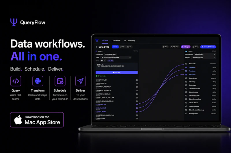 QueryFlow screenshot 2
