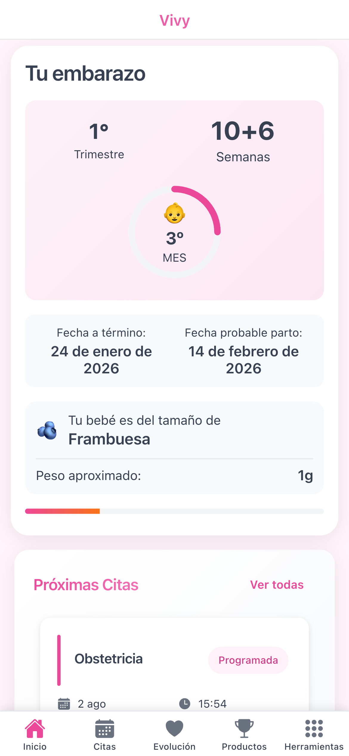 Vivy media 2