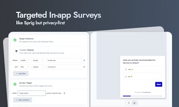 Targeted User Surveys - Understand your users&rsquo; needs and preferences