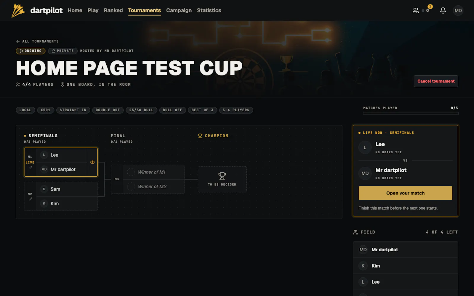dartpilot screenshot 6