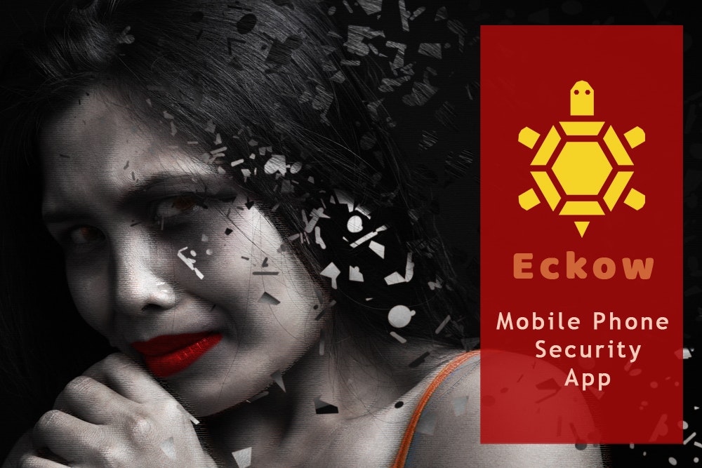 Eckow - Main product screenshot demonstrating key features and user interface