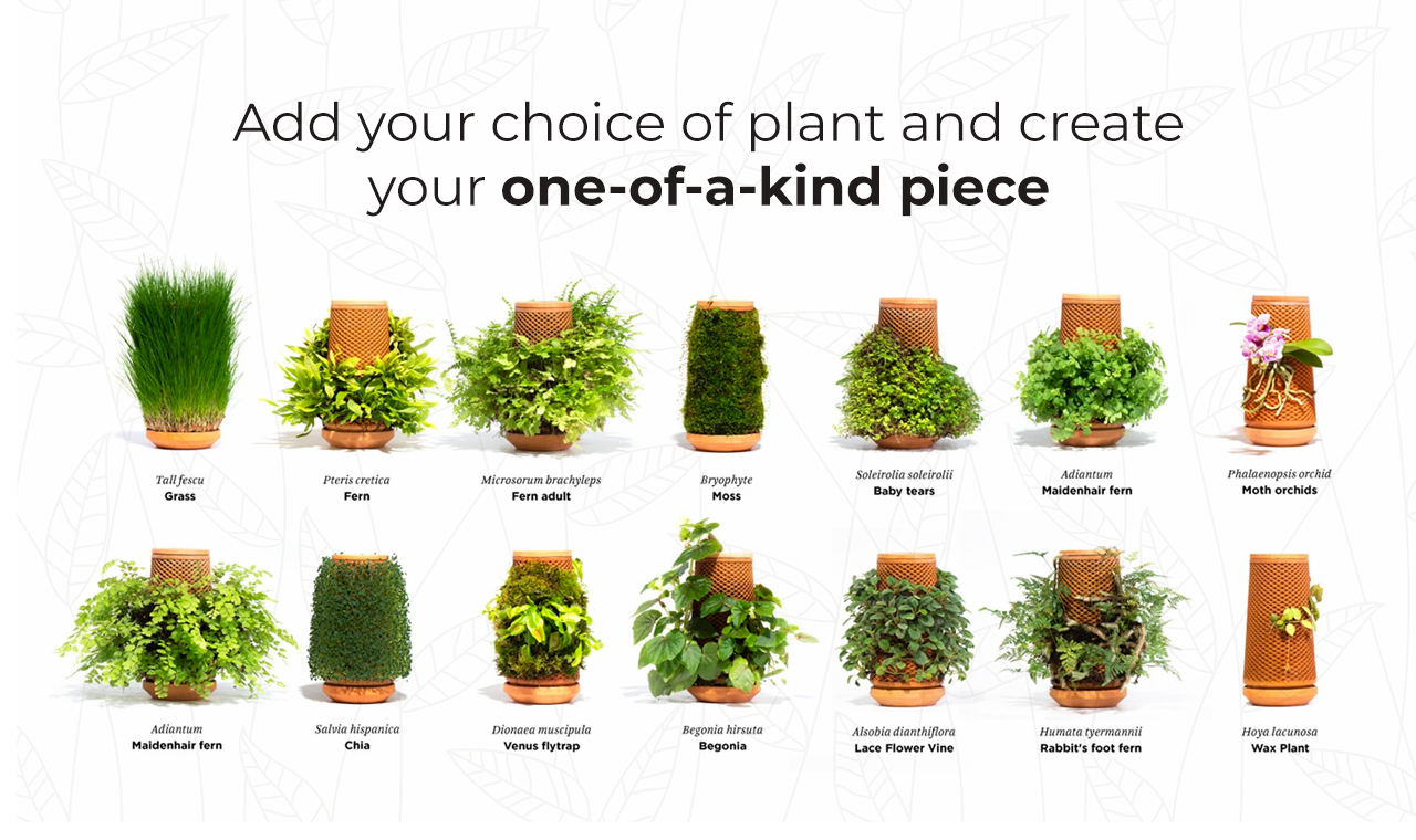 terraplanter gallery image