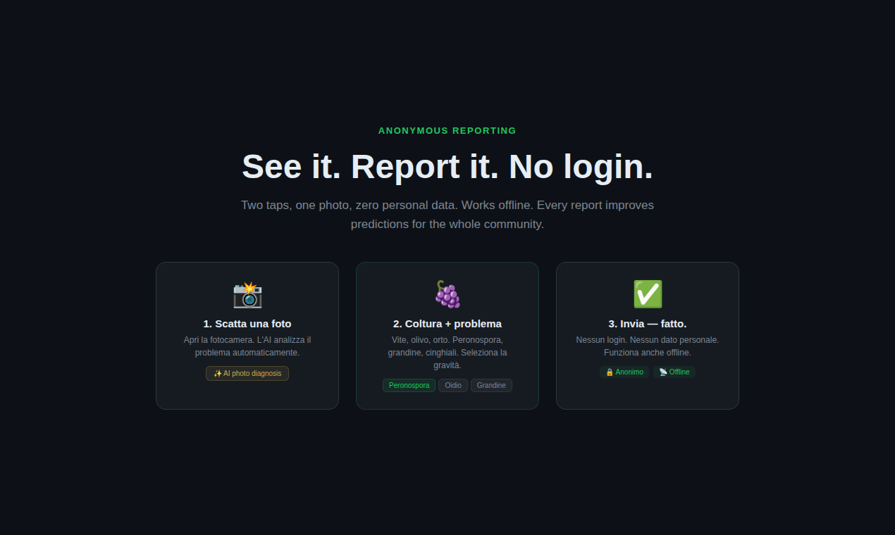 Guardia del Campo gallery image