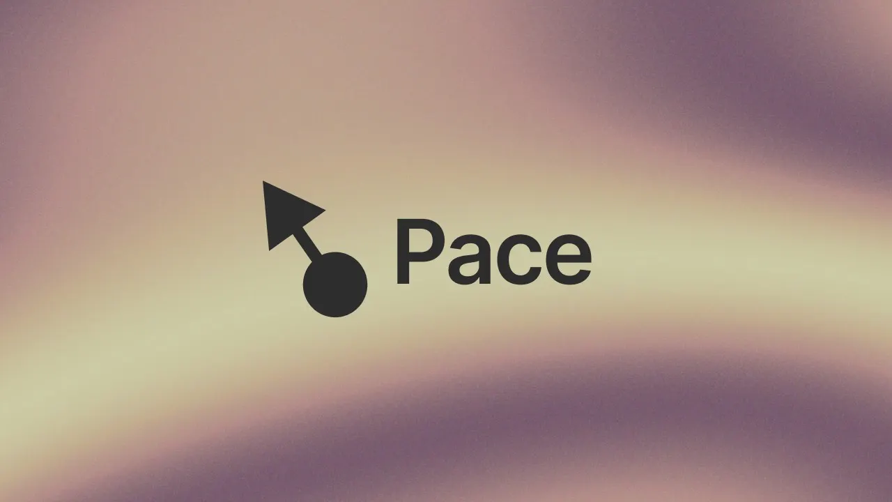 Pace gallery image