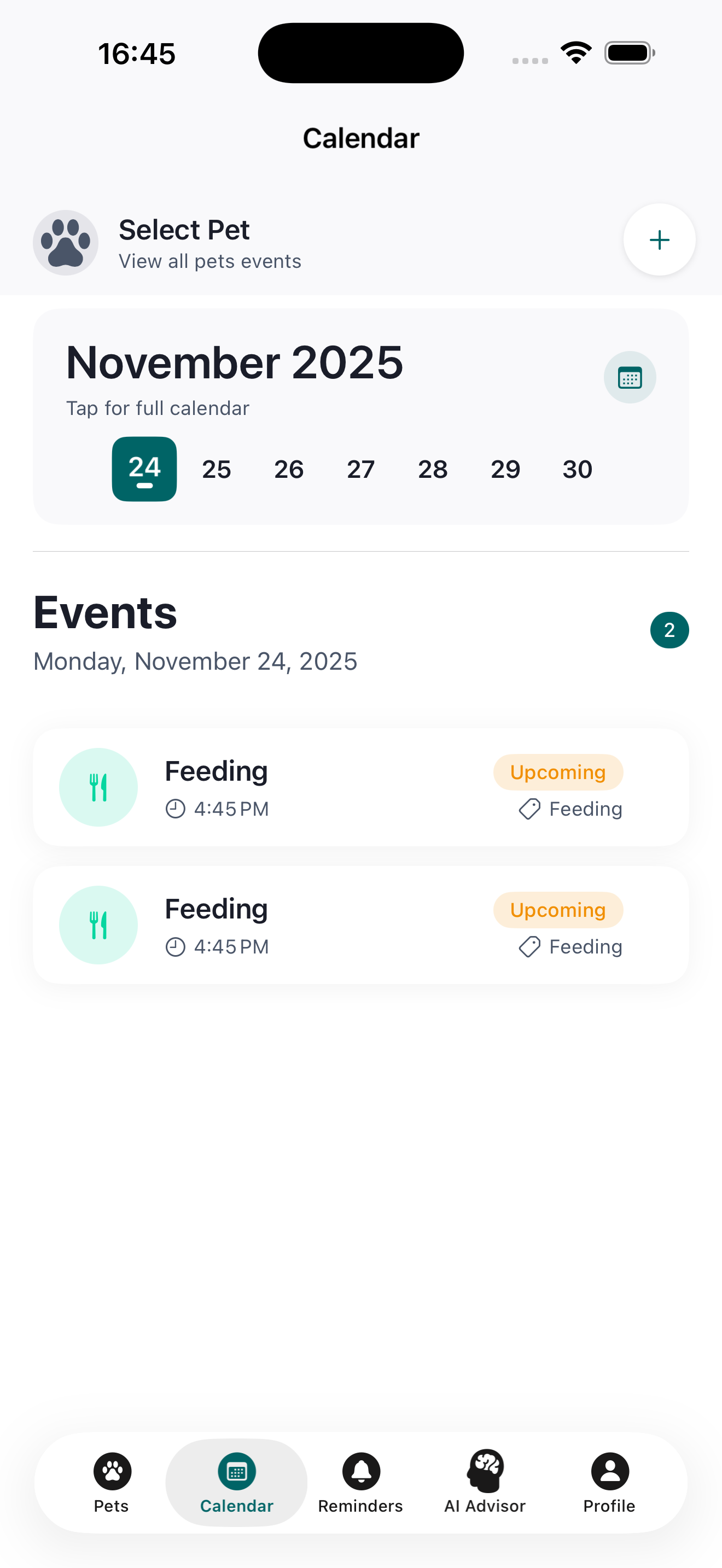 Pettify gallery image