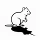 Quokkacorn