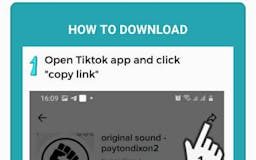 Tik Tok Song Downloader media 2