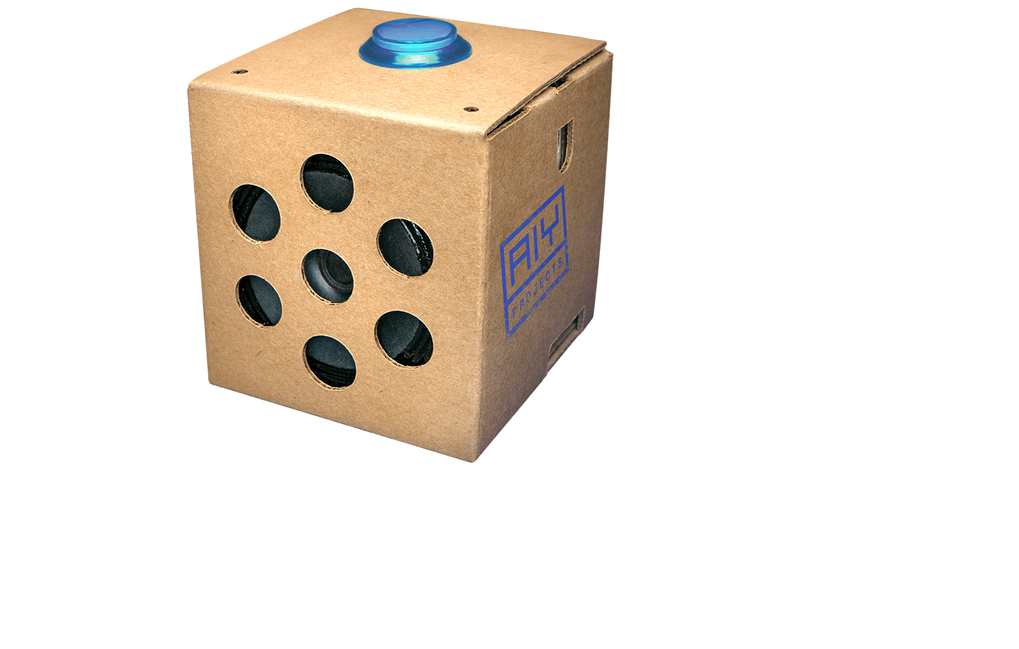 Google AIY Voice Kit