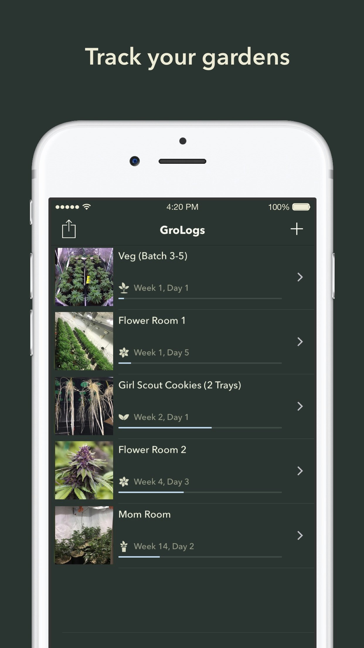 Botana gallery image