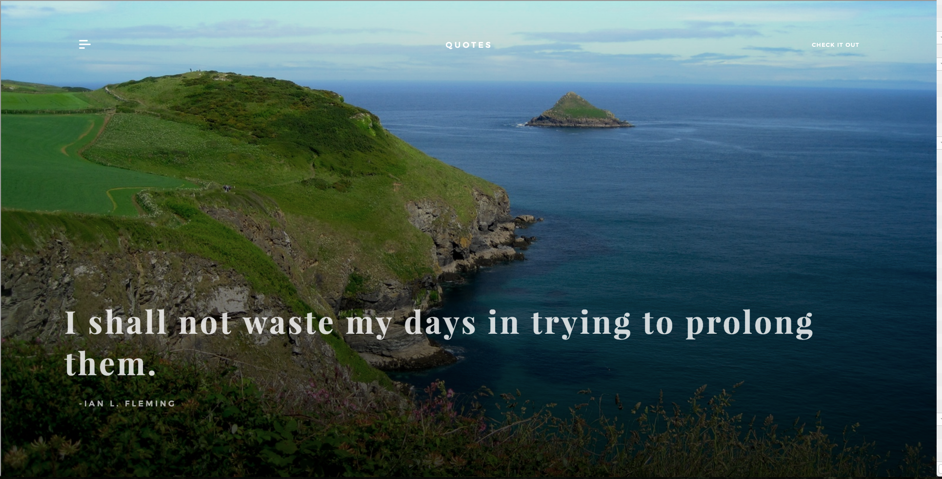 Pigeon gallery image