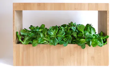 GÜD Plant Box gallery image