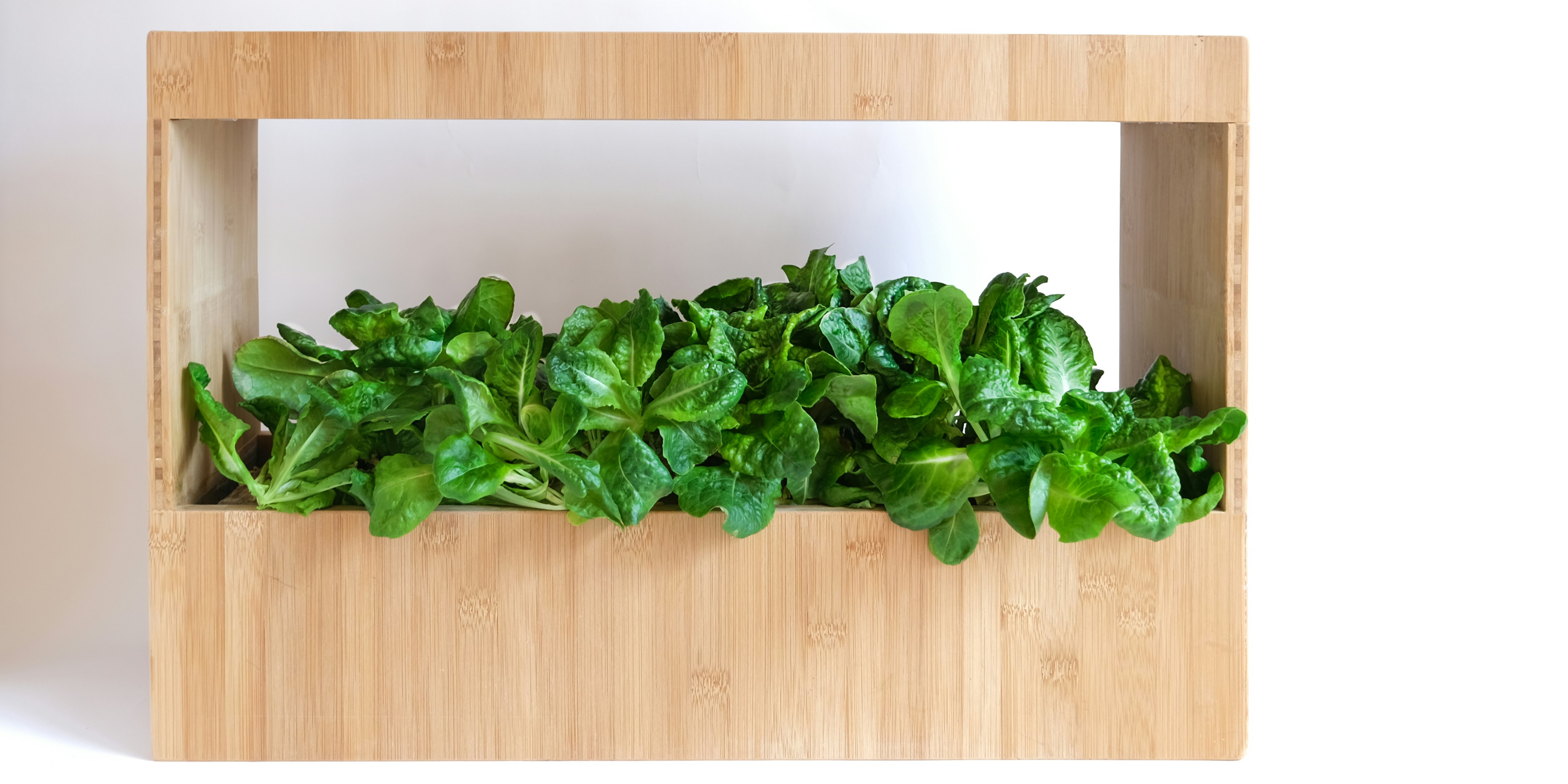 Güd Plant Box - Устойчивый, доступный и продуктивный внутренний сад медиа 2