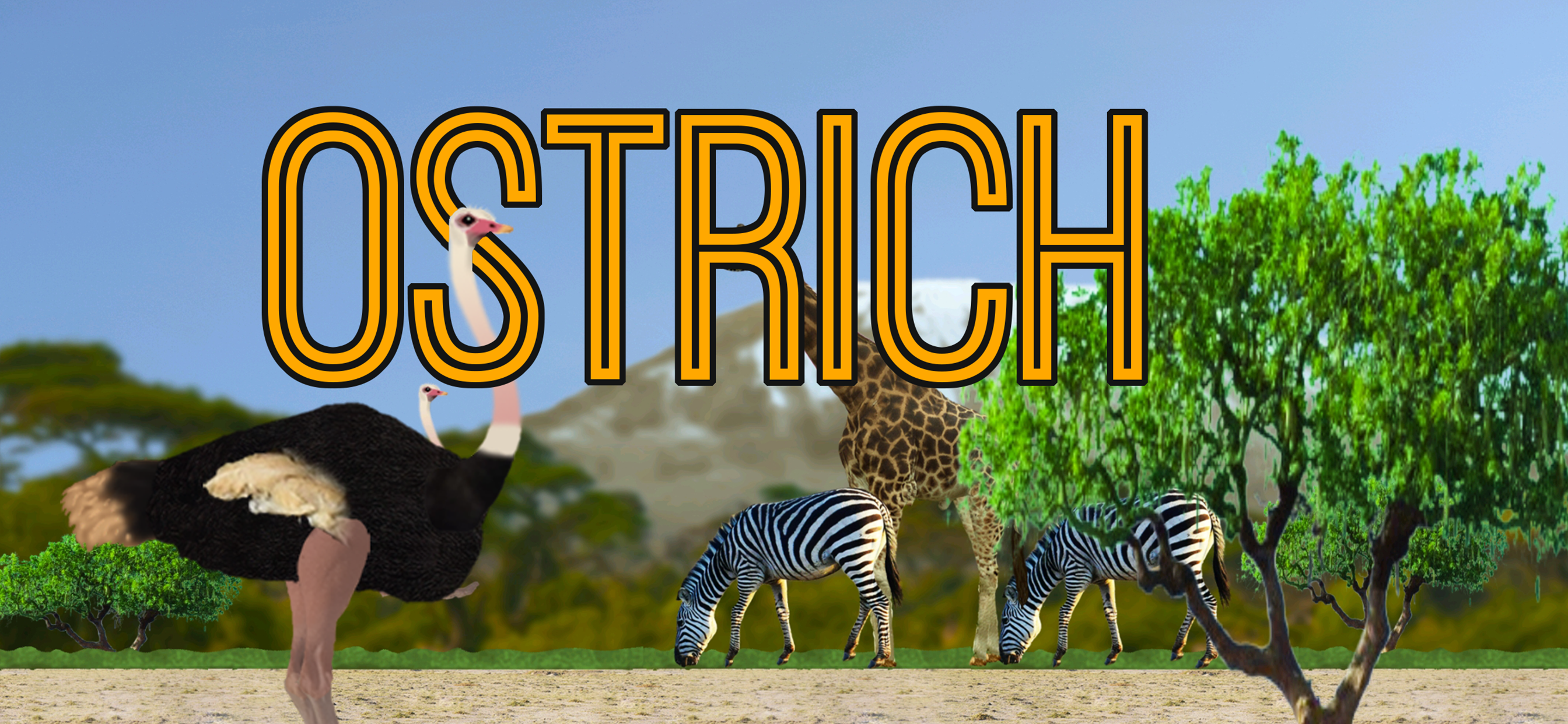 Ostrich gallery image