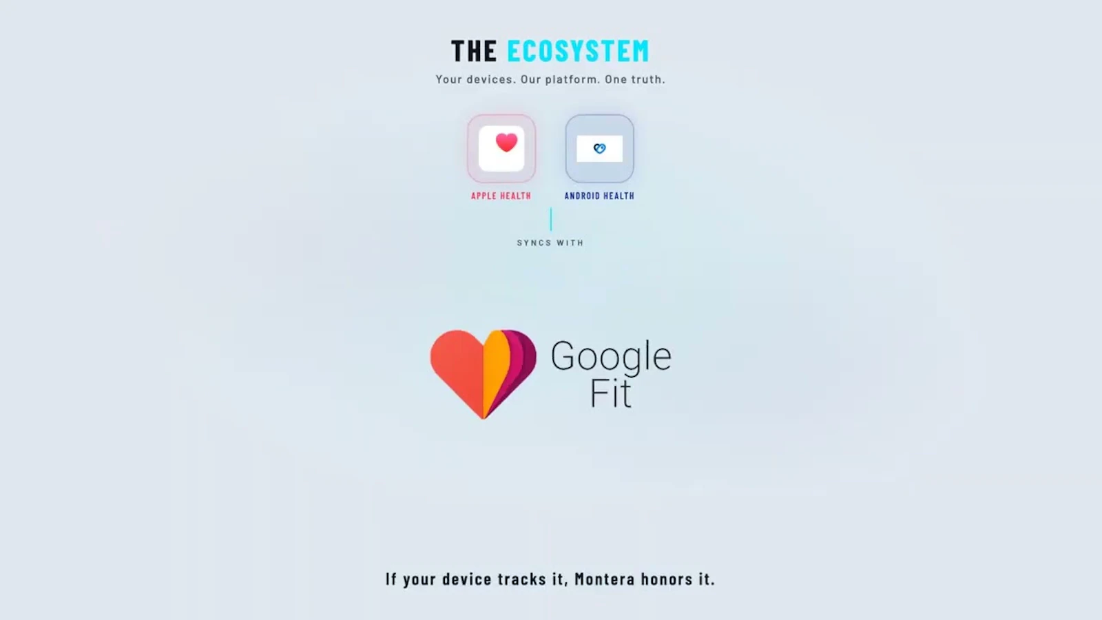 Montera screenshot 1 (video preview)