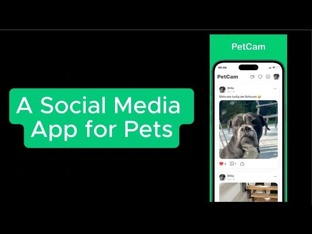 PetCam gallery image