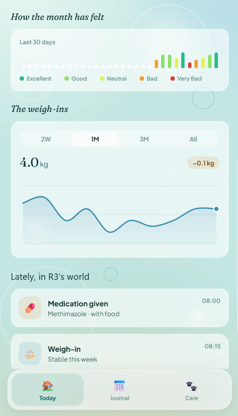 Felova screenshot 2
