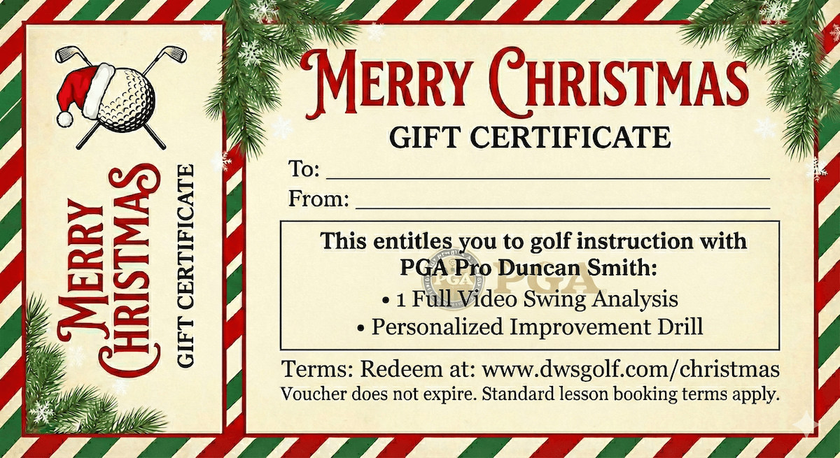 PGA Pro Golf Lessons for Christmas gallery image
