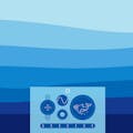 Whale Synth