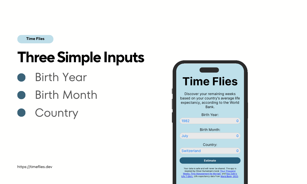 Time Flies gallery image