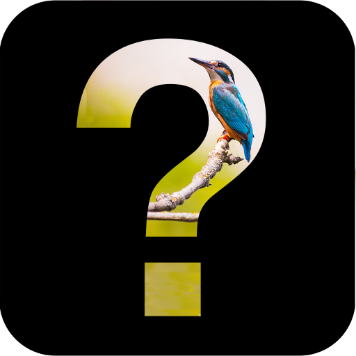 GuessWhat