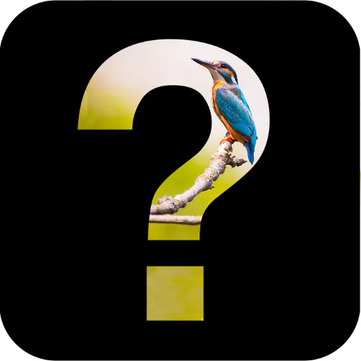 GuessWhat