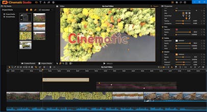 Cinematic Studio gallery image