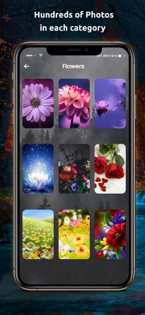 Wallpapers - Full HD - 4K gallery image