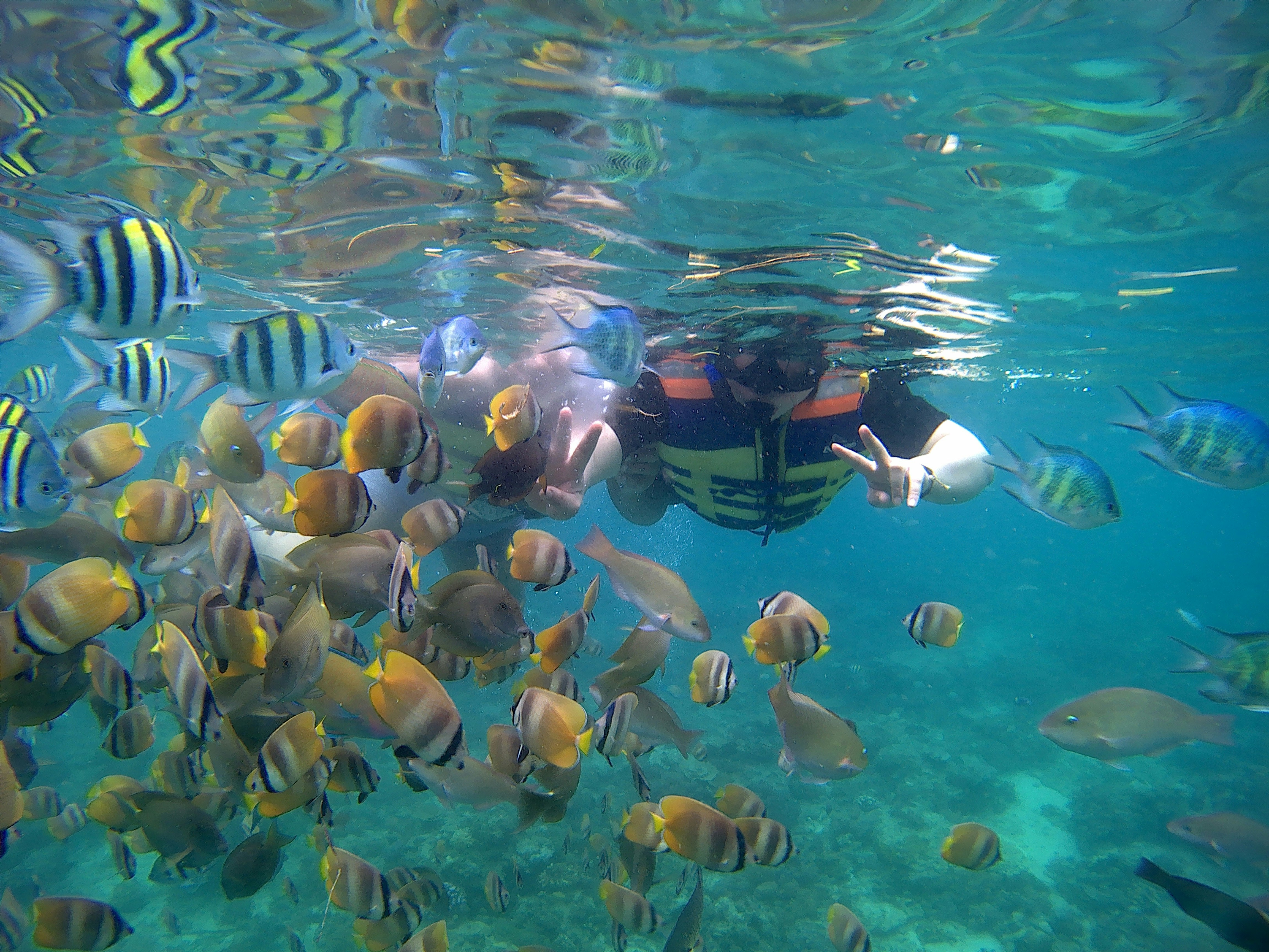 Média Îles Tri Gili en apnée - Visite de plongée 4