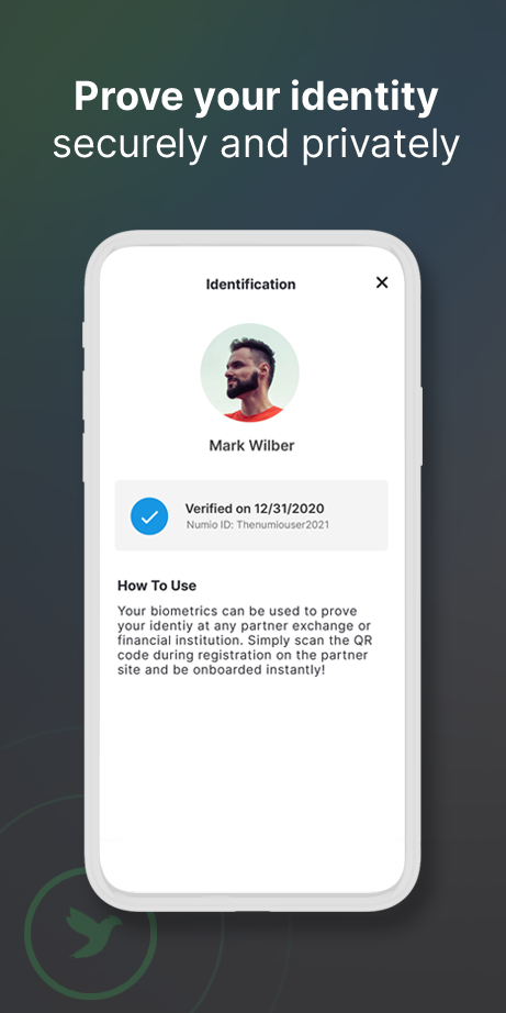 Numio v2.6 gallery image
