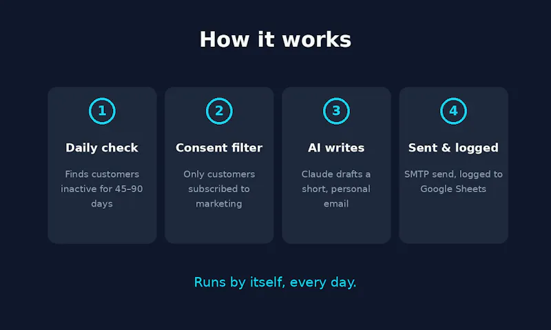 AI Winback for Shopify screenshot 3