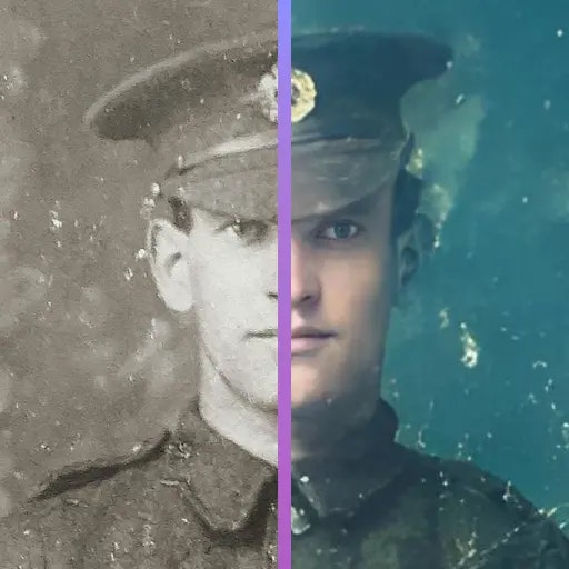 Colorize: Foto B & W Bulk