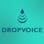 DropVoice | Voice-notes for your product