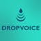 DropVoice | Voice-notes for your product
