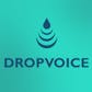 DropVoice | Voice-notes for your product