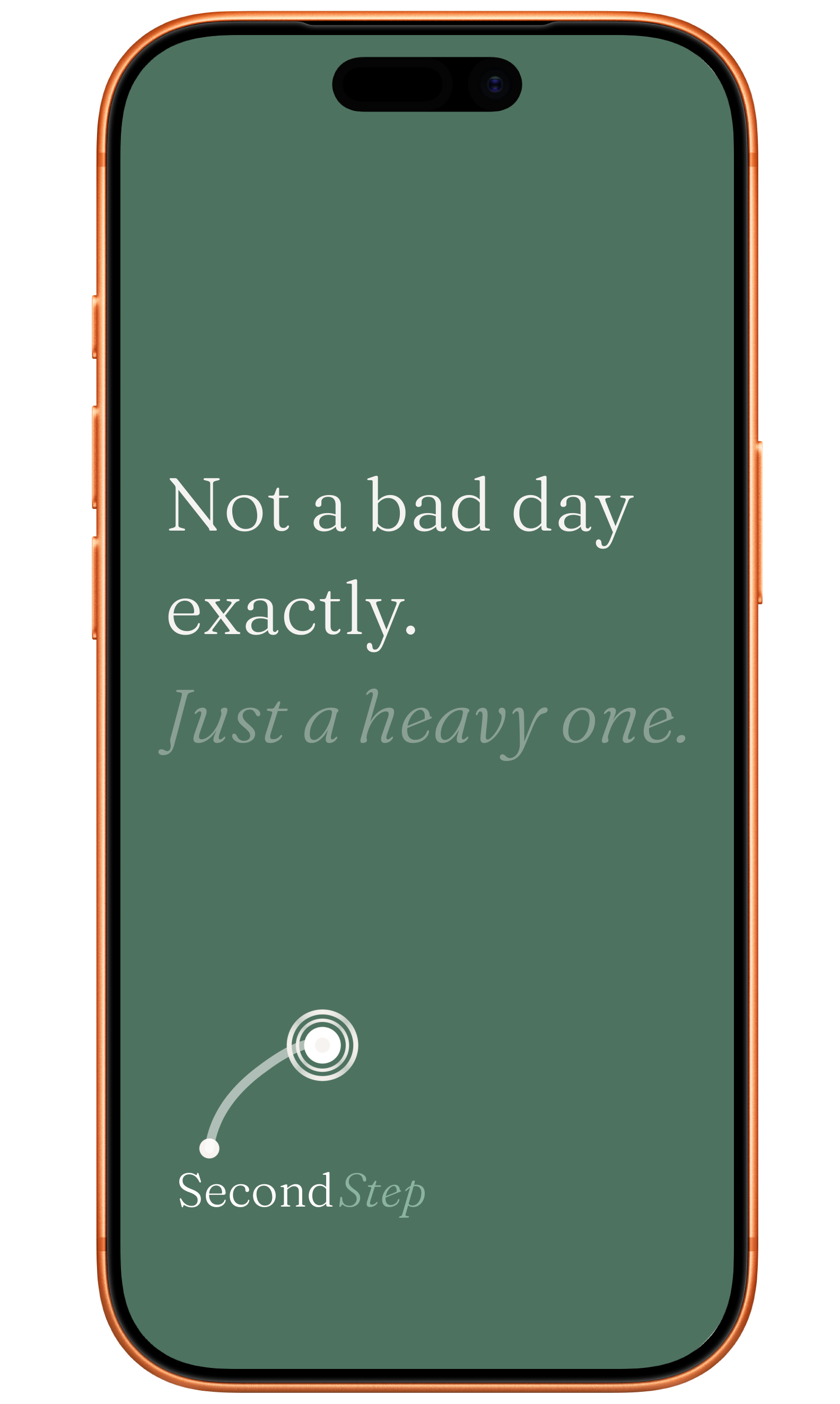 SecondStep gallery image