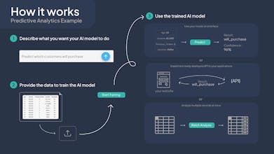 Synapis gallery image