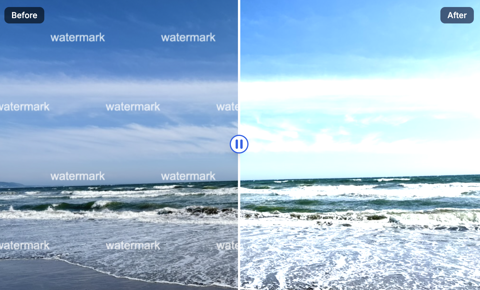 Privatewatermark - Remover di filigrana professionale media 1
