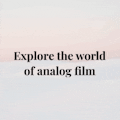 Filmtypes
