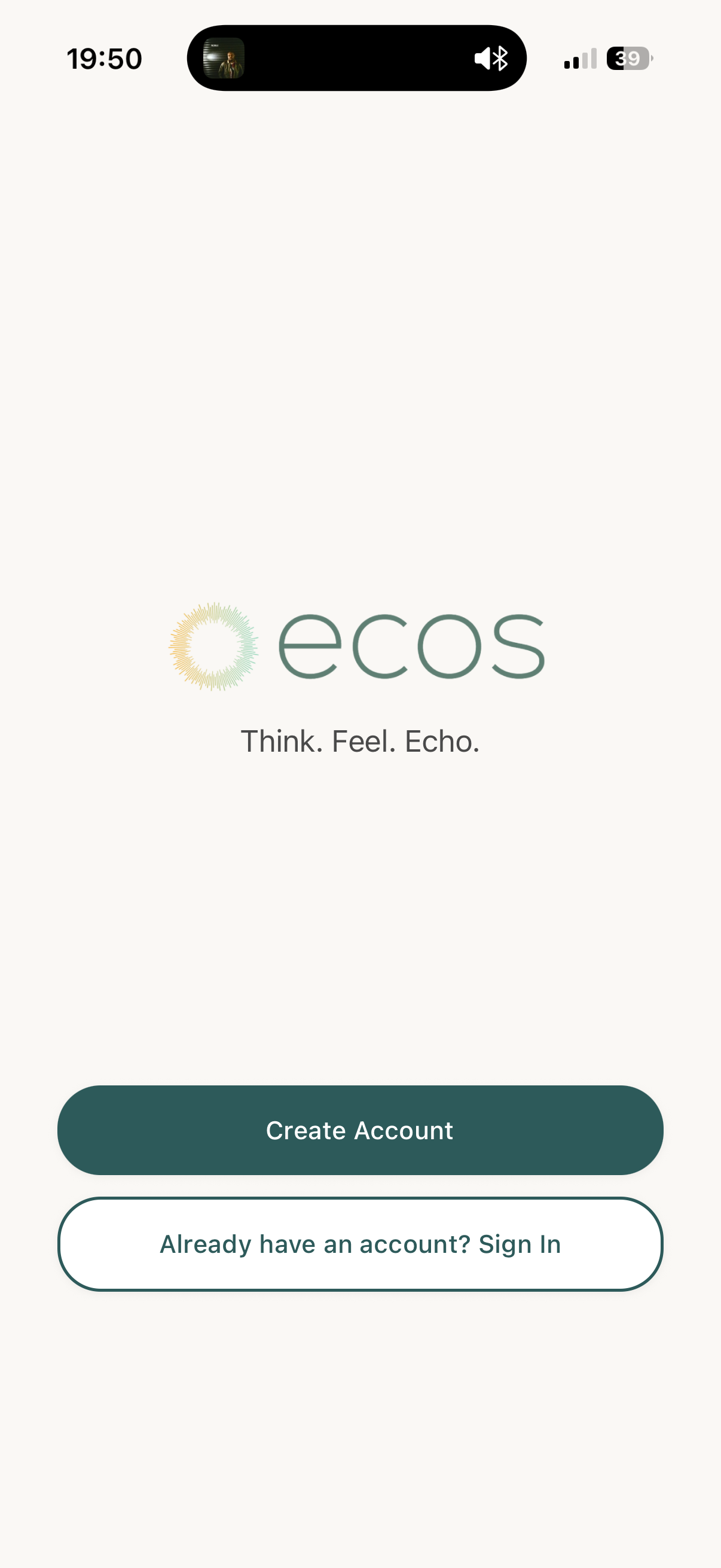 ECOS gallery image