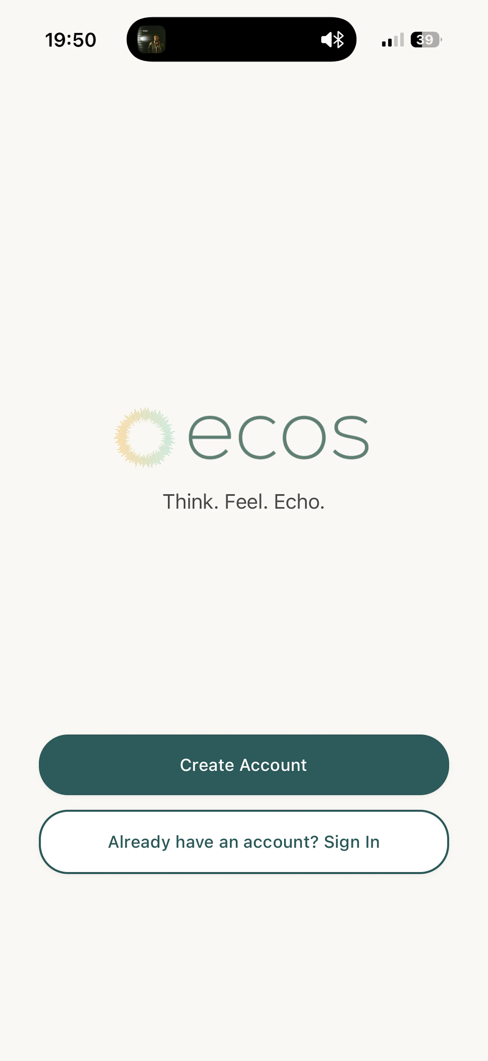 ECOS screenshot 11