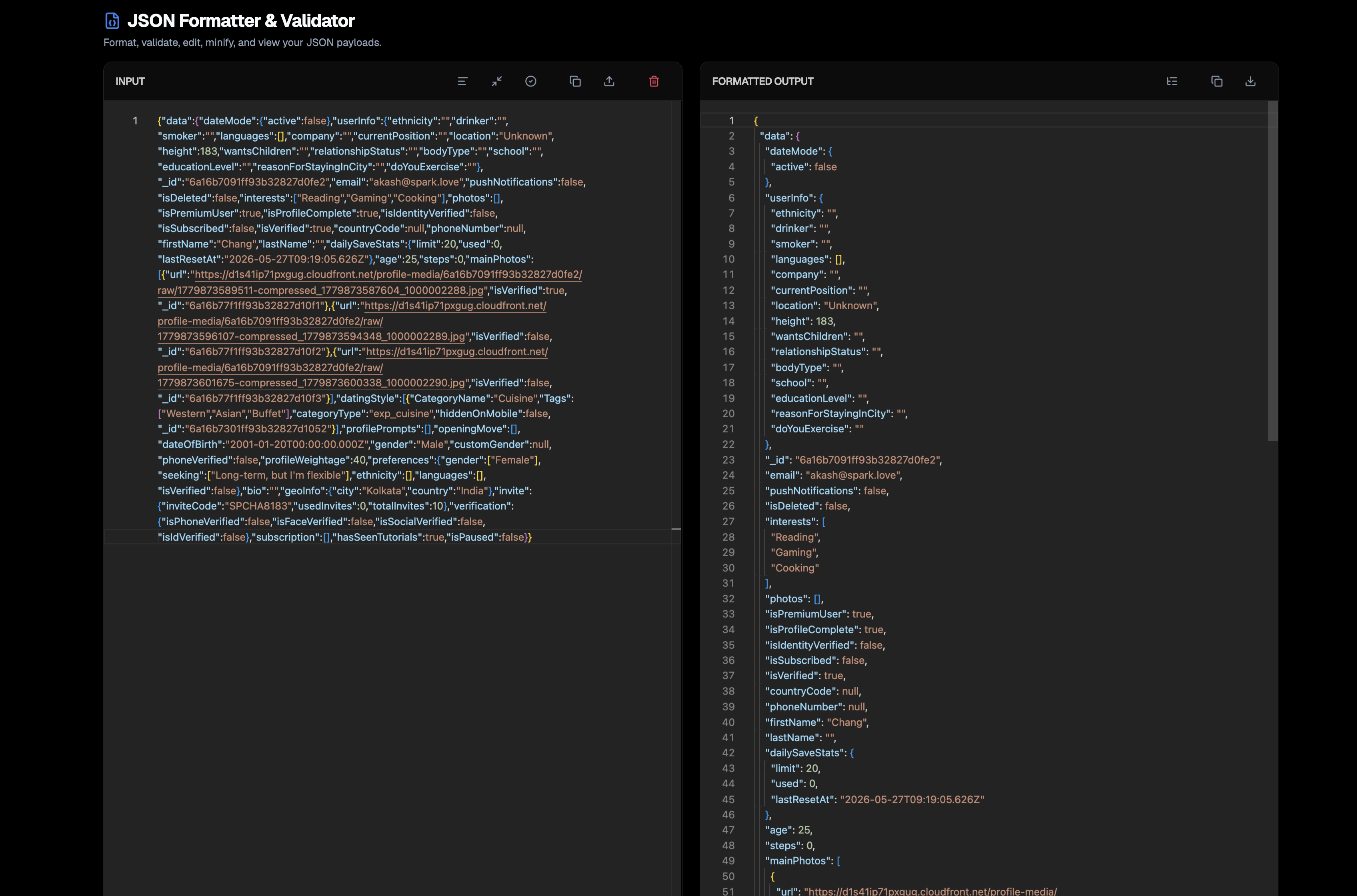 Birhrt Dev Tools gallery image